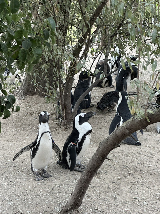 Best Europe Zoo in Belgium
