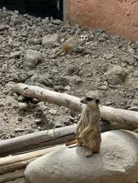 Best Europe Zoo in Belgium