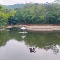 Beautiful parks, Zhongshan park, Botanical garden etc.