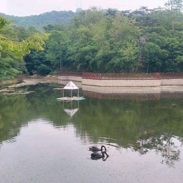 Beautiful parks, Zhongshan park, Botanical garden etc.