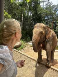 Signature Phu Quoc Safari ! Must see!