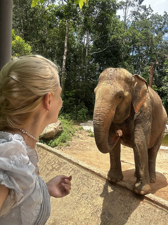 Signature Phu Quoc Safari ! Must see!