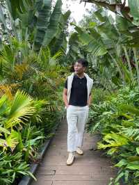 🌿🌸 Baguio’s Hidden Jungle: A Walk Through Botanical Wonder 