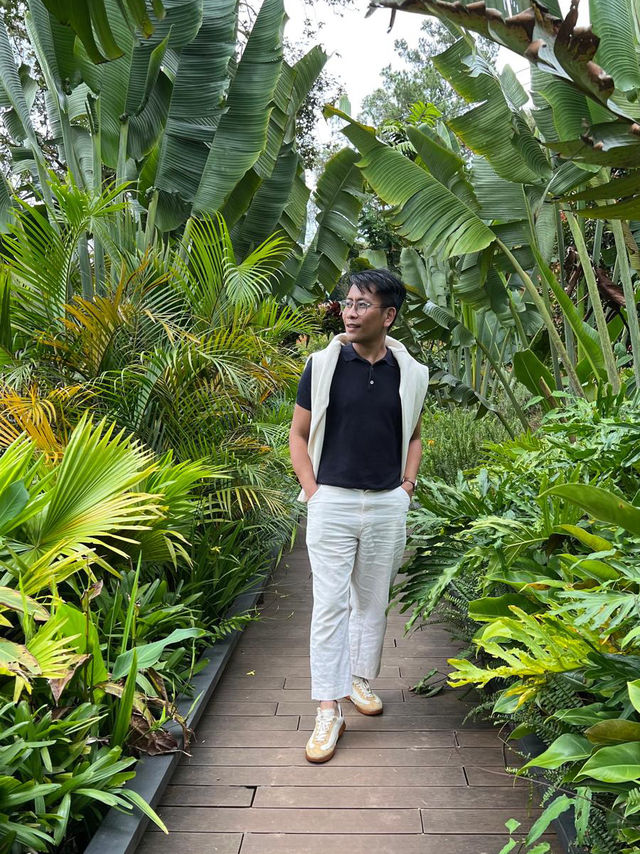 🌿🌸 Baguio’s Hidden Jungle: A Walk Through Botanical Wonder 