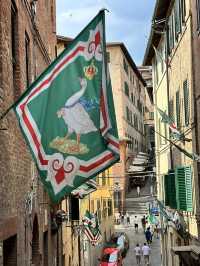 Experience the Heartbeat of Siena’s Palazzos and Teatro dei Rozzi