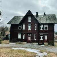 Oslo on a Budget: Fjords, Parks & Hidden Gems