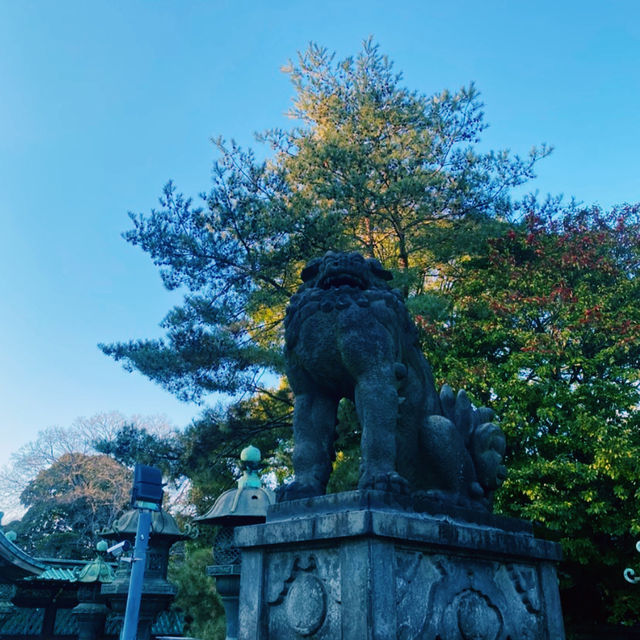 Tokyo Temples: Serenity Amid the City Buzz