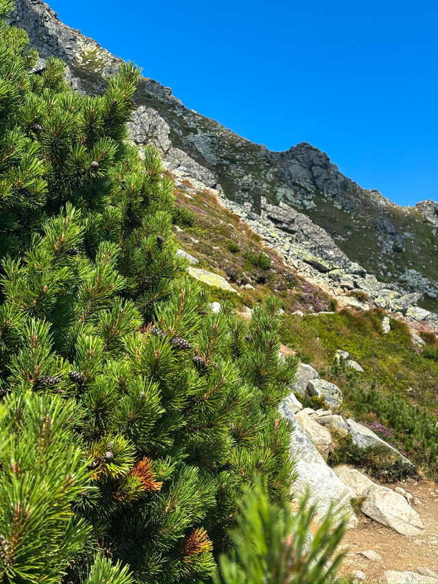 ✨Zelene Pleso is a hidden gem of Tatras!✨