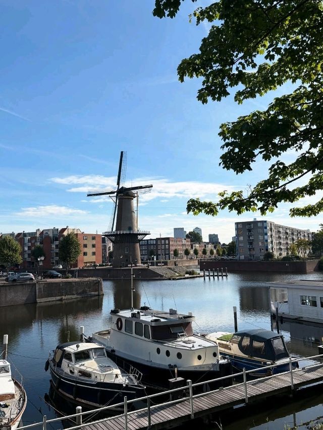 Top Halloween Attractions in Rotterdam 🎃👻