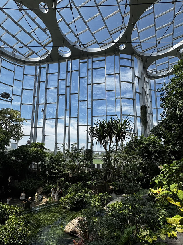 Shanghai Greenhouse Garden 🌿✨