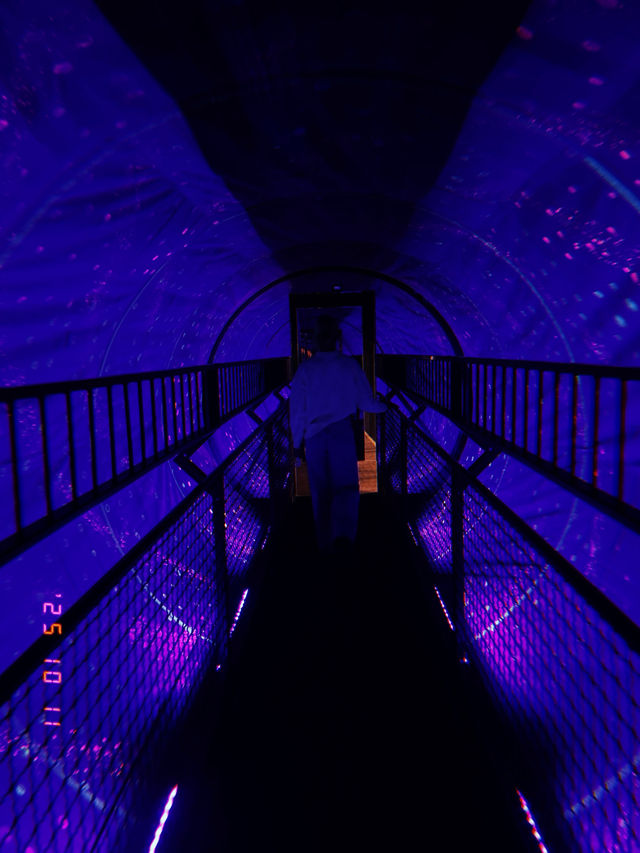 Museum of senses 