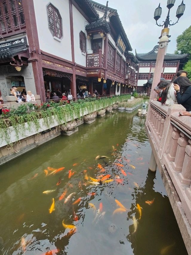 Маршрут на 2 дня по Шанхаю Маршрут на 2 дня по Шанхаю