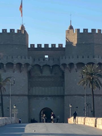 Sunny Street Vibes☀️