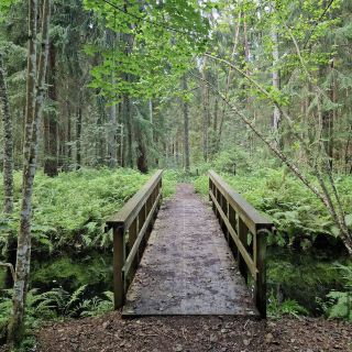 อุทยานแห่งชาติซูมา อุทยานแห่งชาติซูมา