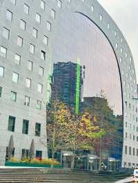 Tree Meets Culture🌳,