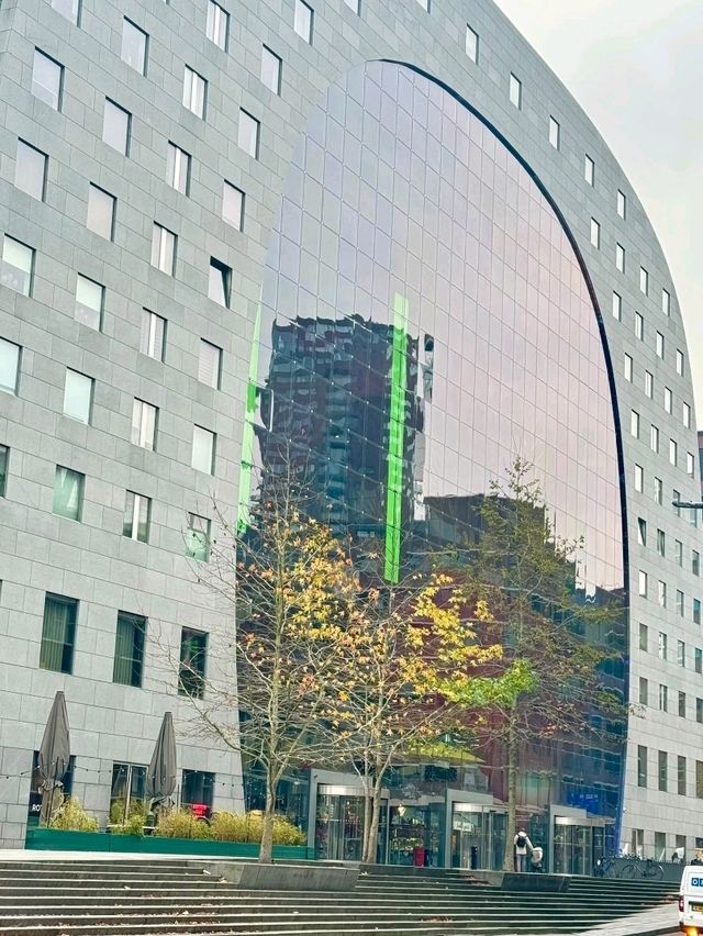 Tree Meets Culture🌳,