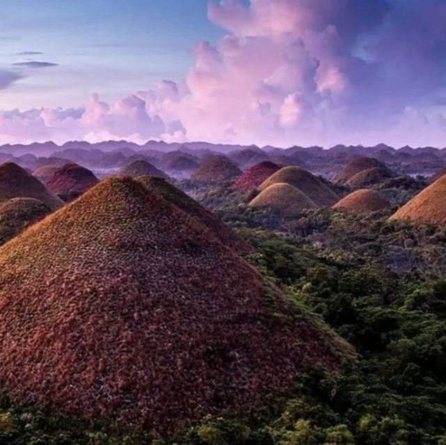 Шоколадные холмы Бохола