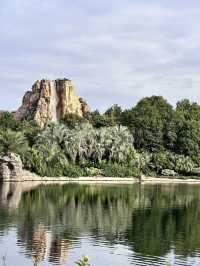 ✨ Step into the magic of Shanghai Disneyland! 🎢🏰💫