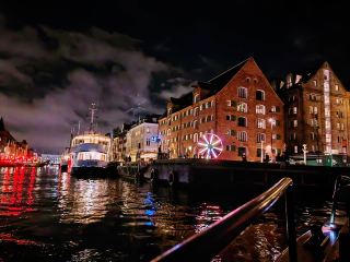 🚲 ミッドナイトブルームズ：コペンハーゲンのネオングリーンの魂 🇩🇰✨