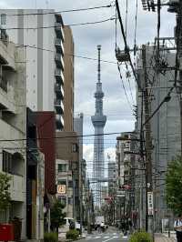 Must visit spots in Tokyo 🗼
