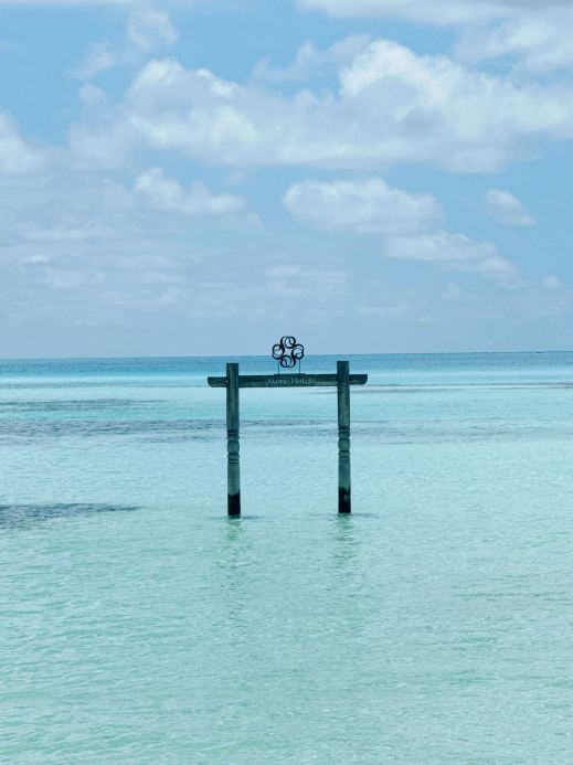 ディフシ — 海のアドベンチャー
