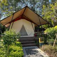 Glamping in Guangzhou