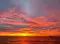 yvaine_6072
