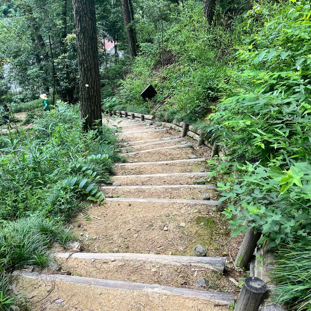 Hiking near Hangzhou 