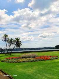 Sydney Royal Botanic Garden