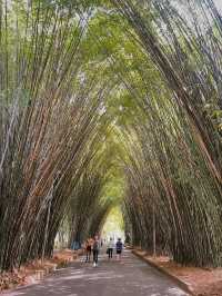 São Paulo · Ibirapuera Park