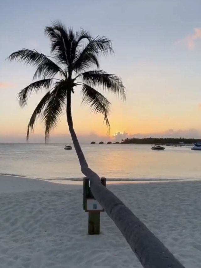 First time in Maldives, worth seeing travel guide!