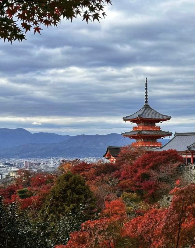 7大關西地區賞楓景點🍁