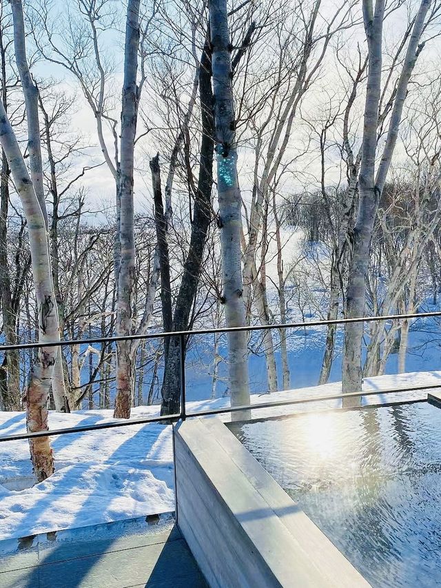 北海道溫泉旅館必二世谷坐忘林獨享雪景