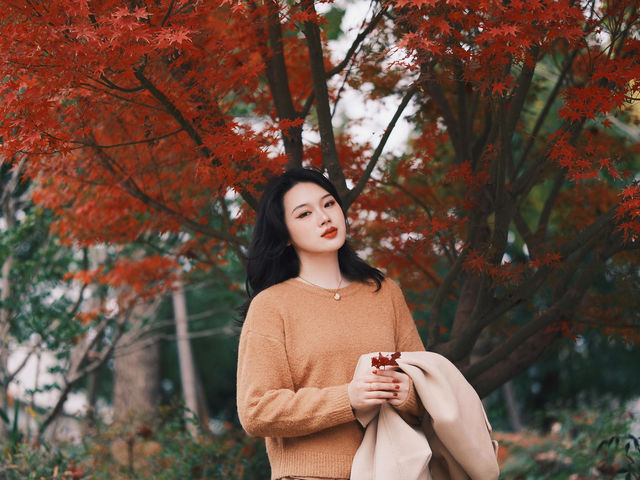 魔都小眾楓葉拍照地|人少 大片紅葉