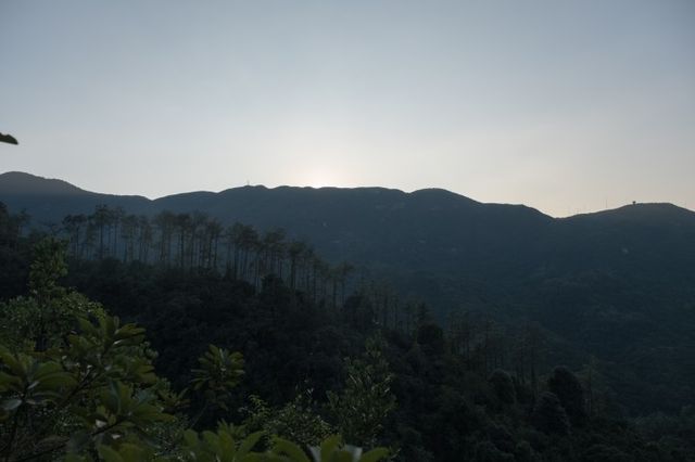 西灣河後山小徑．一小時散步之旅