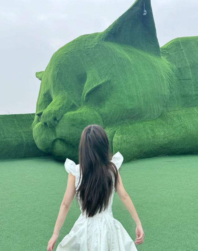 流浪不是小動物的符號，一起去肥貓島吧