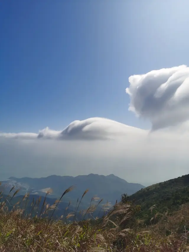 Qiniang Mountain