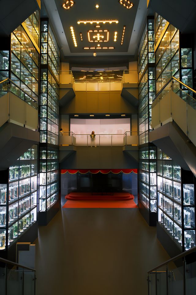廣州｜廣東中醫藥博物館