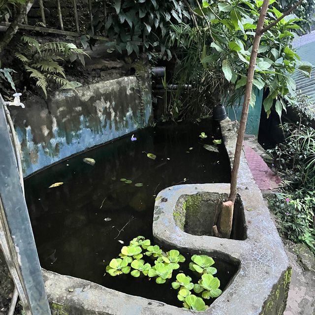 Rainforest cabins in Sri Lanka