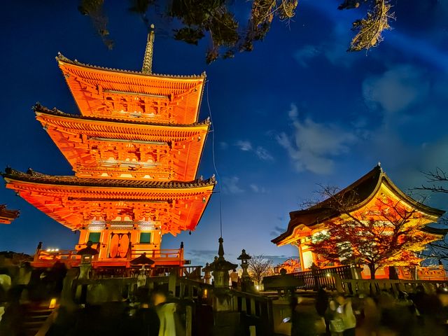 日本關西紅葉季七天遊