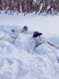 有機會一定要來北海道滑一次雪