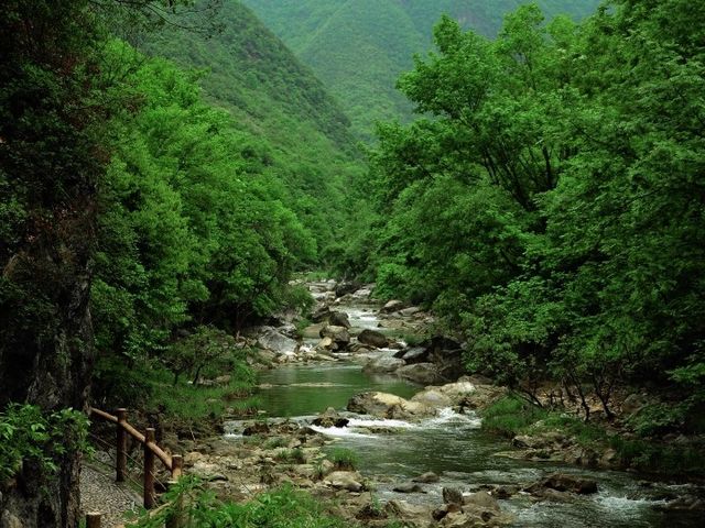 避暑納涼 天然氧吧這個暑假一定要去五龍河