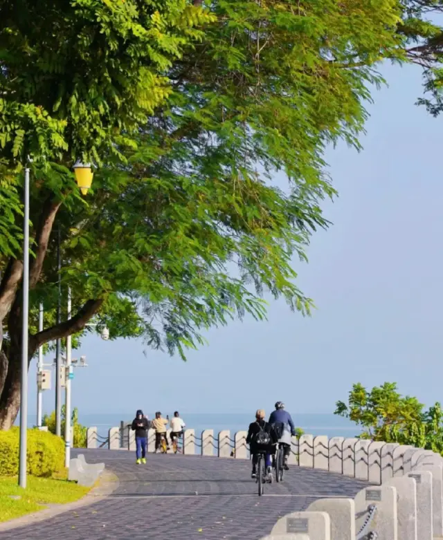 Visiting the sea in Shenzhen is a serious matter! Here are 6 roads to the sea