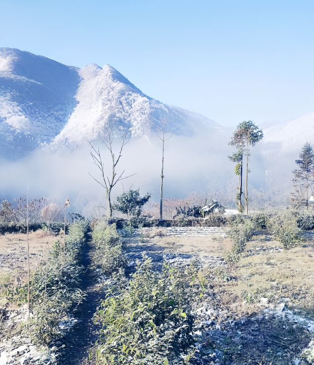 銀裝素裹的壺瓶山，美得純粹！