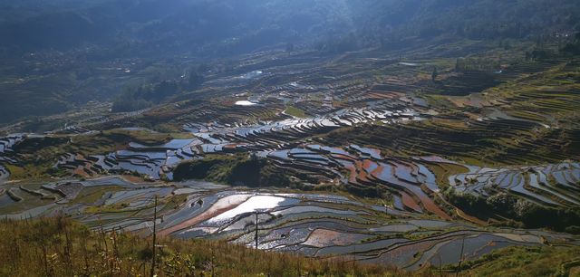 雲南—元陽梯田