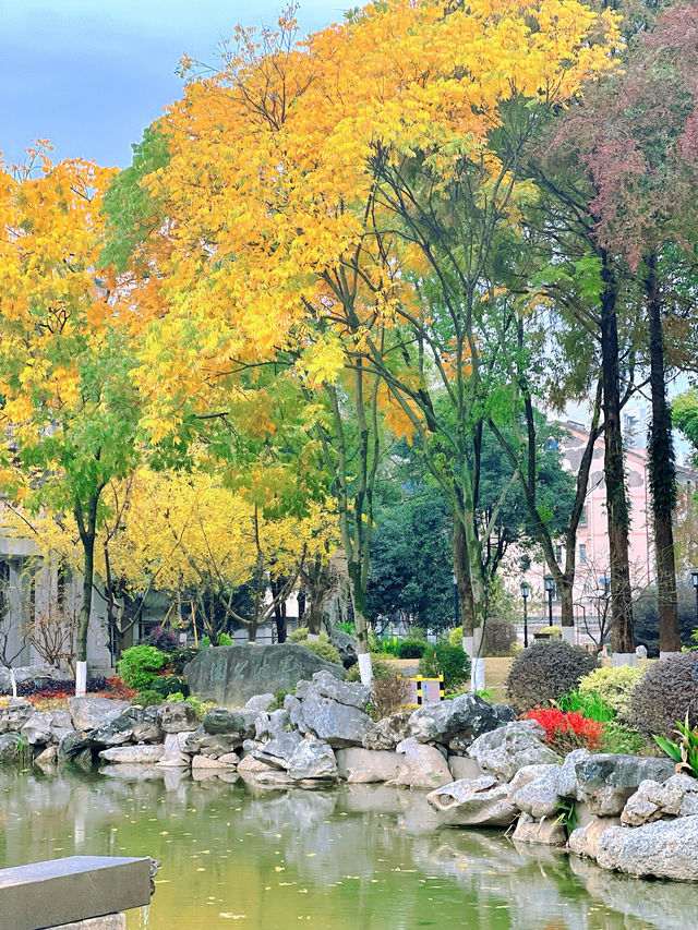 城市漫步看墨池公園的前世今生 城市漫步看墨池公園的前世今生