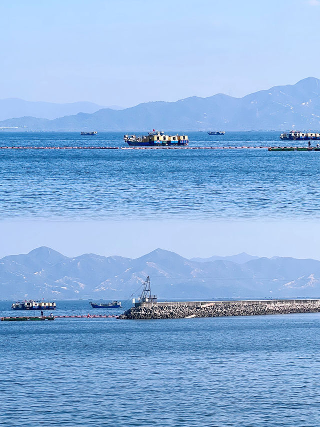 深圳必打卡地標·山海·免費看海啦