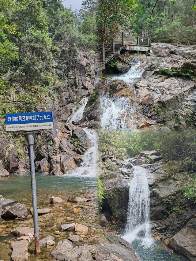 湖南周邊遊！九龍江國家森林公園踏青攻略