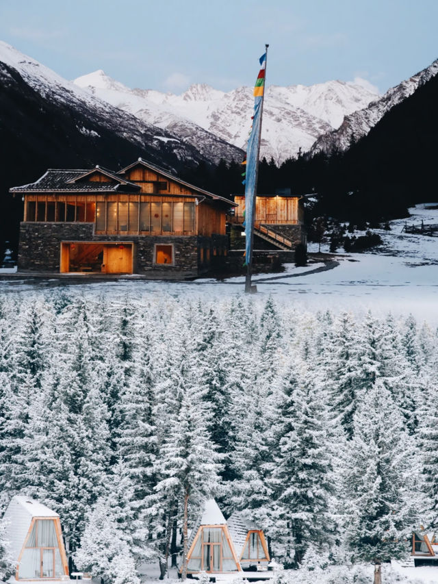 假裝在國外，住進雪山下的森林星空樹屋，體驗雪帶來的驚喜