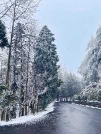 2023年寧波的第一場雪就在本週趕快衝
